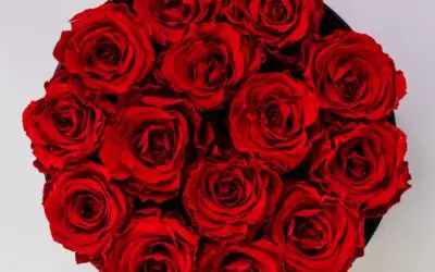 Giv den perfekte afsked: Sådan vælger du blomster til begravelsen